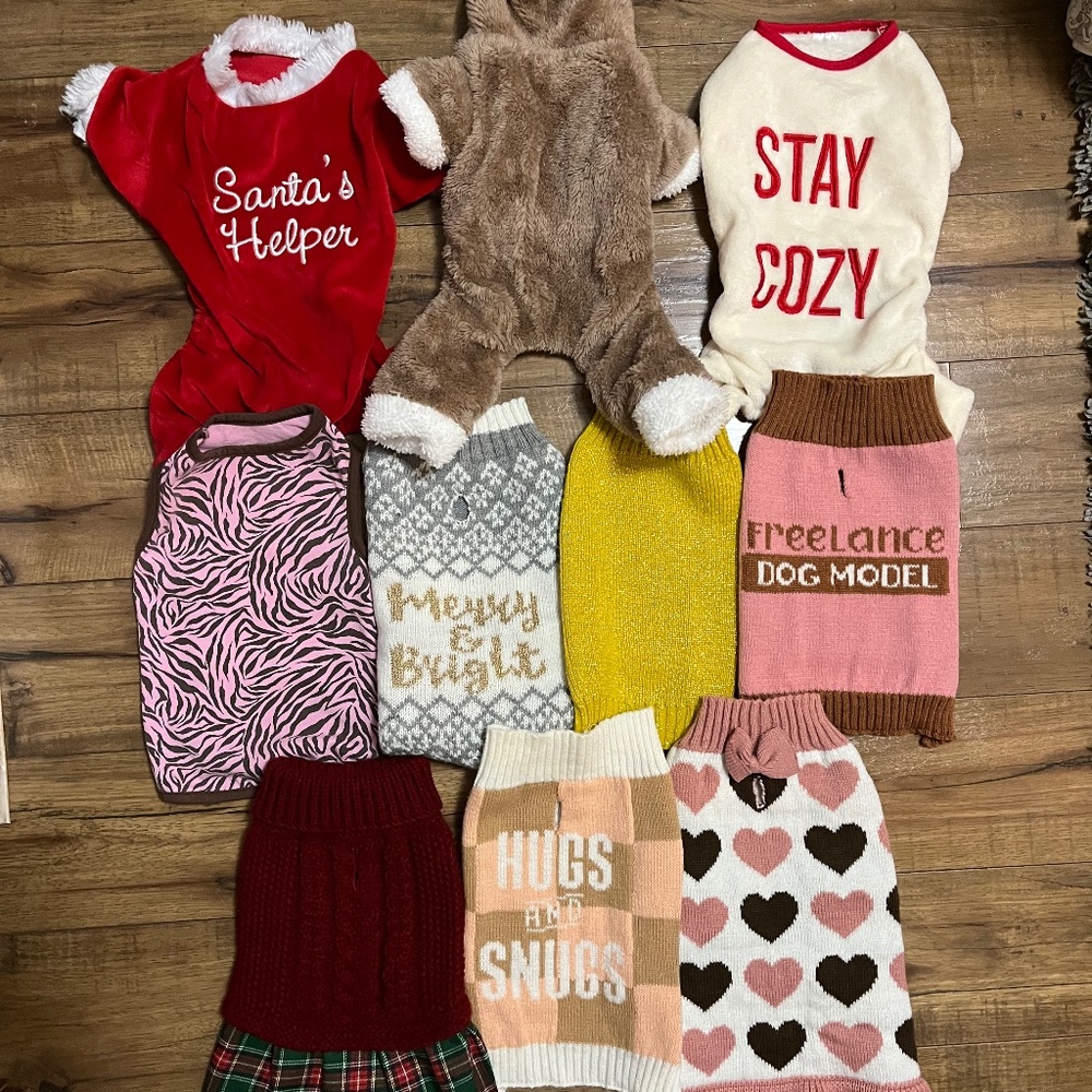 11pc girly dog clothes bundle